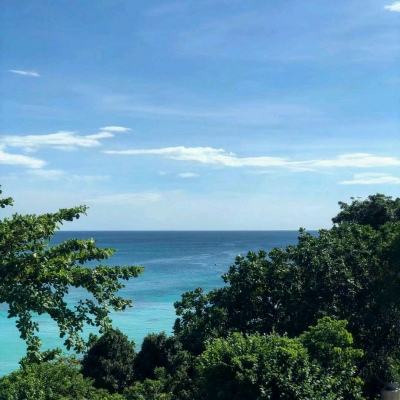 后宫q传破解版下载